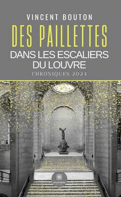 Des paillettes dans les escaliers du Louvre