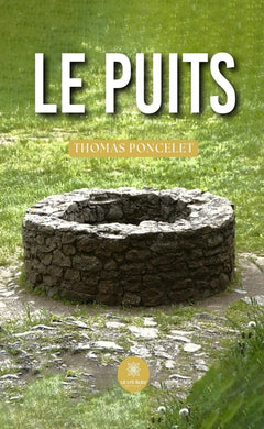 Le puits