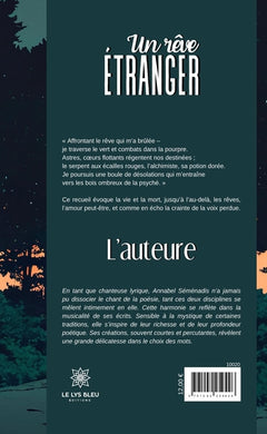 Un rêve étranger