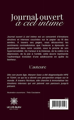 Journal ouvert à ciel intime