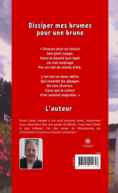 Dissiper mes brumes pour une brune