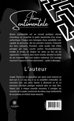 Illusion sentimentale