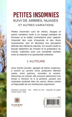 Petites insomnies