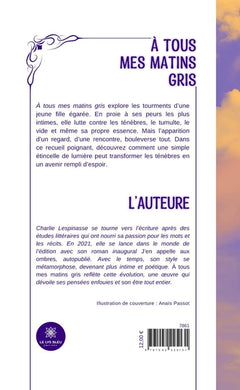 À tous mes matins gris