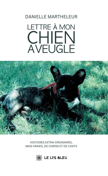 Lettre à mon chien aveugle