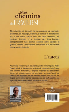 Mes chemins de traverse
