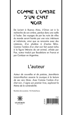 Comme l'ombre d'un chat noir