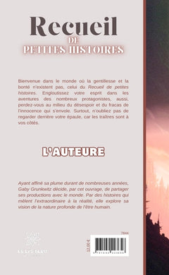 Recueil de petites histoires