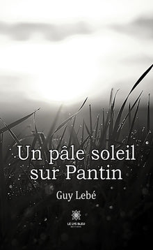 Un pâle soleil sur Pantin