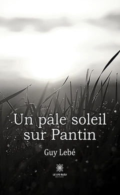 Un pâle soleil sur Pantin