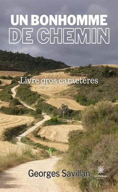 Un bonhomme de chemin
