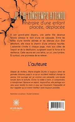 Je t'ai longtemps attendu