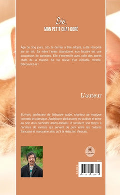 Léo, mon petit chat doré