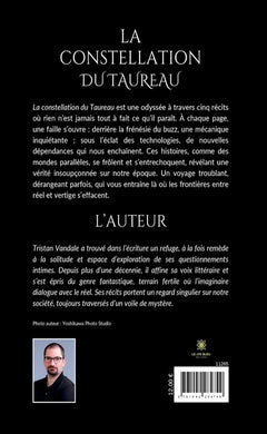 La constellation du Taureau