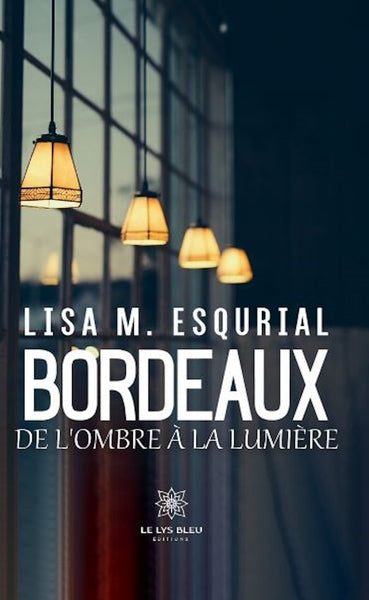 Bordeaux, de l'ombre à la lumière