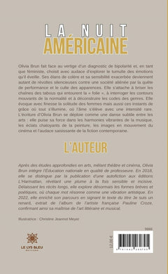 La nuit américaine