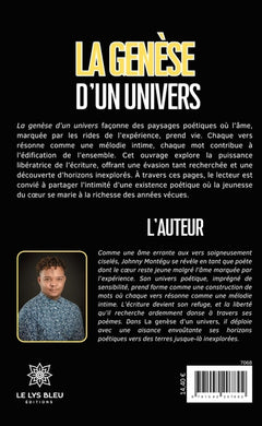 La genèse d'un univers