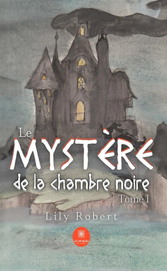 Le mystère de la chambre noire