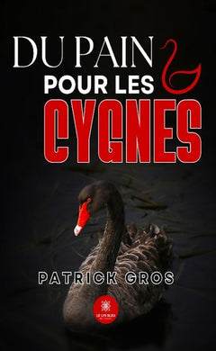 Du pain pour les cygnes
