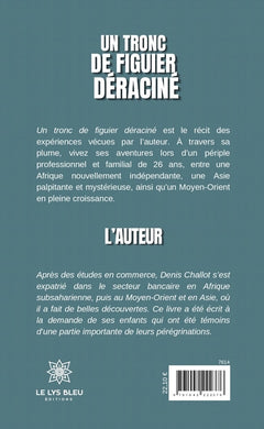 Un tronc de figuier déraciné