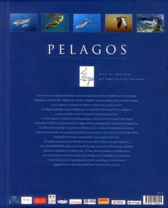 Pelagos. Voyage naturaliste au large de la Méditerranée