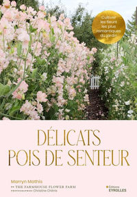 Délicats pois de senteur