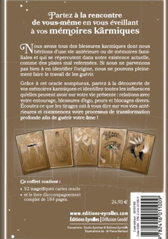 Soul Healing: L'oracle du karma