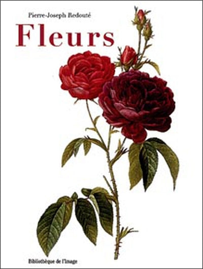 Fleurs