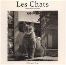 Les Chats, photographies et poèmes