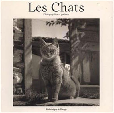 Les Chats, photographies et poèmes