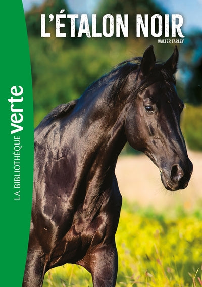 L'étalon noir 01 NED - L'étalon noir