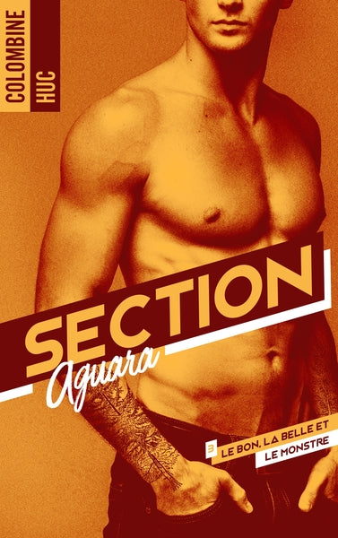 Section Aguara & Co - Tome 3