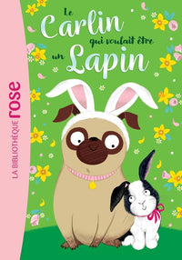Un lapin