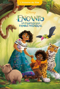 Encanto, la fantastique famille Madrigal - L'Histoire du film
