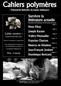 Cahier Polymère n°1