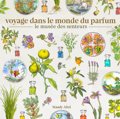 Voyage dans le monde du parfum - Le musée des senteurs