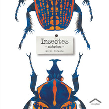 Insectes: Coléoptères