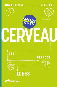 Cerveau