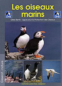 Les oiseaux marins - Réserve naturelle des Sept-Iles