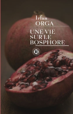 une vie sur le bosphore
