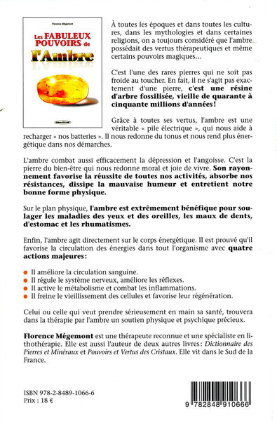 Les fabuleux pouvoirs de l'ambre