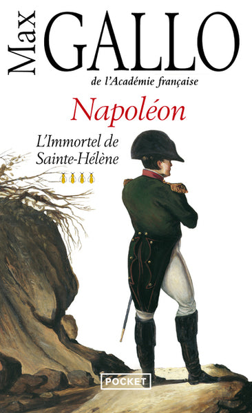Napoléon, tome 4 : L'Immortel de Sainte-Hélène