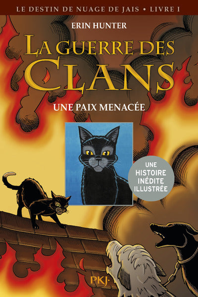 Le destin de nuage de jais - tome 1 Une paix menacée