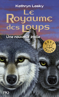 Une nouvelle étoile