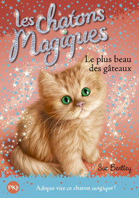 Le plus beau des gâteaux