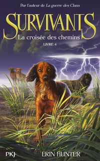 Survivants - Tome 04 : La croisée des chemins