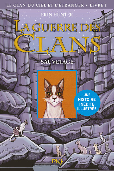 Le clan du Ciel et l'étranger - tome 1 Sauvetage