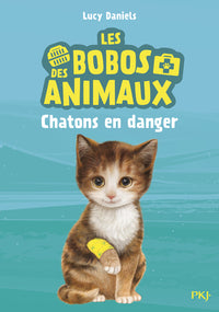 Chatons en danger