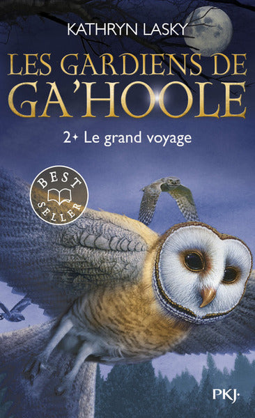 Le grand voyage