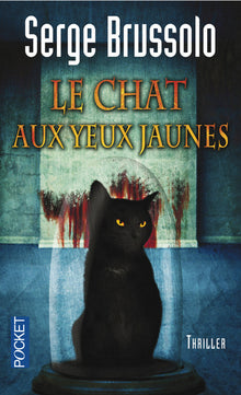 Le chat aux yeux jaunes: Agence 13 (3)